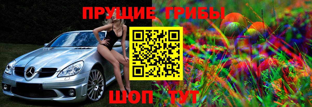 Псилоцибиновые грибы мицелий Астрахань